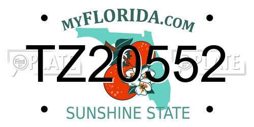 TZ20552 Florida License Plate