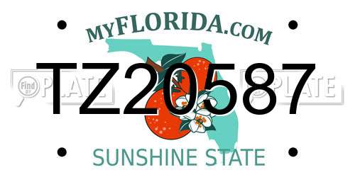 TZ20587 Florida License Plate