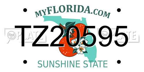 TZ20595 Florida License Plate
