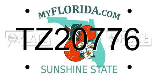 TZ20776 Florida License Plate