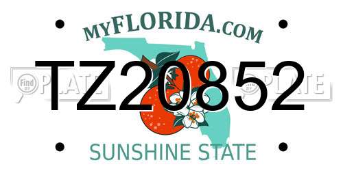 TZ20852 Florida License Plate