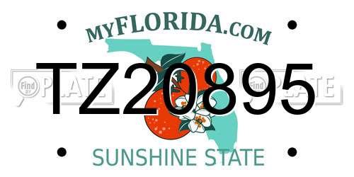 TZ20895 Florida License Plate