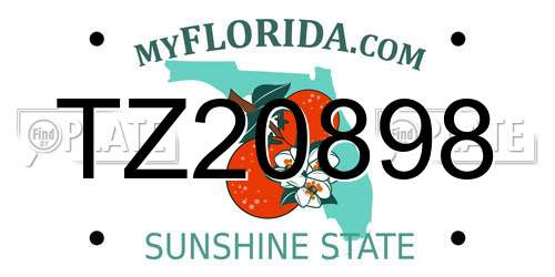 TZ20898 Florida License Plate