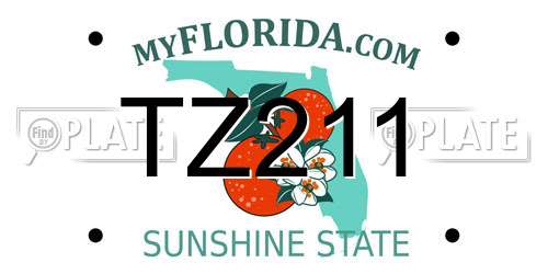 TZ211 Florida License Plate