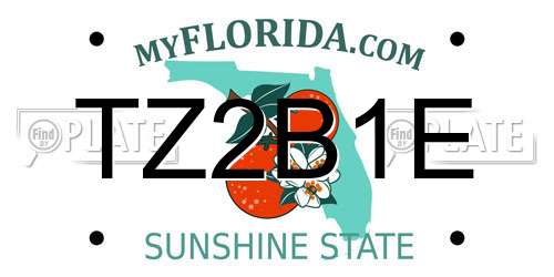 TZ2B1E Florida License Plate