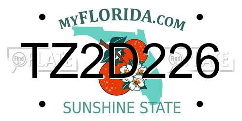 TZ2D226 Florida License Plate
