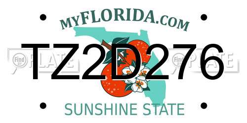TZ2D276 Florida License Plate