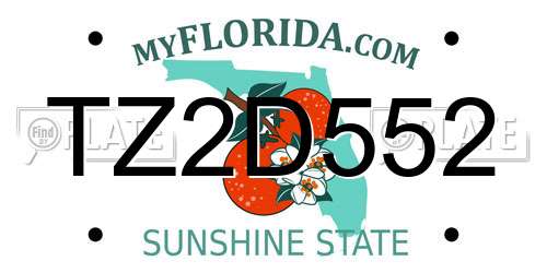 TZ2D552 Florida License Plate