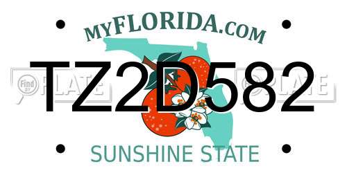 TZ2D582 Florida License Plate