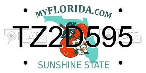 TZ2D595 Florida License Plate
