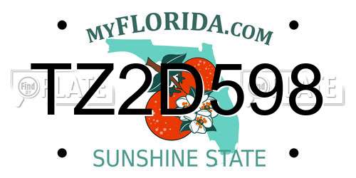 TZ2D598 Florida License Plate