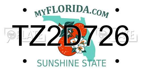 TZ2D726 Florida License Plate