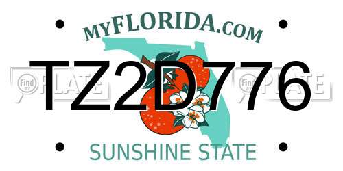 TZ2D776 Florida License Plate