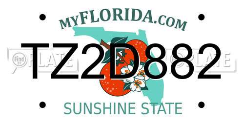 TZ2D882 Florida License Plate