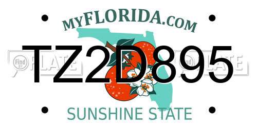 TZ2D895 Florida License Plate