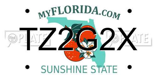 TZ2G2X Florida License Plate