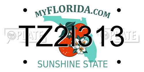 TZ2I313 Florida License Plate