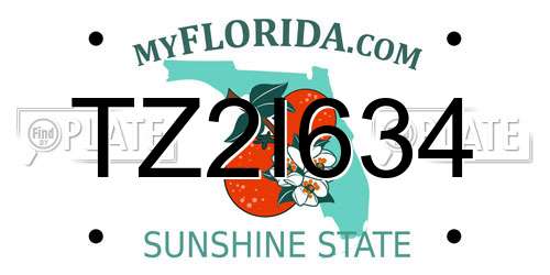 TZ2I634 Florida License Plate