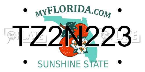 TZ2N223 Florida License Plate