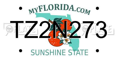 TZ2N273 Florida License Plate