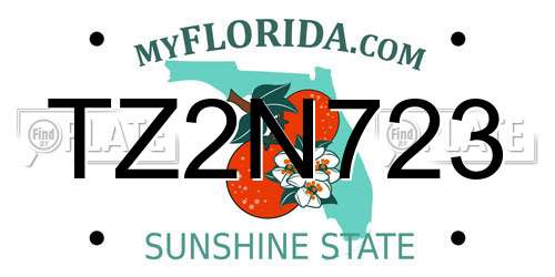 TZ2N723 Florida License Plate