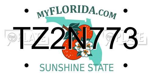 TZ2N773 Florida License Plate