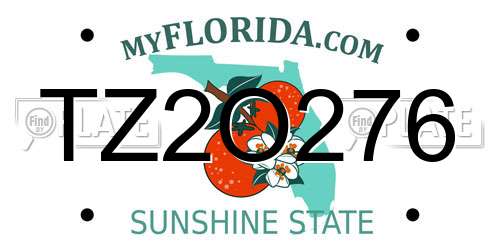 TZ2O276 Florida License Plate