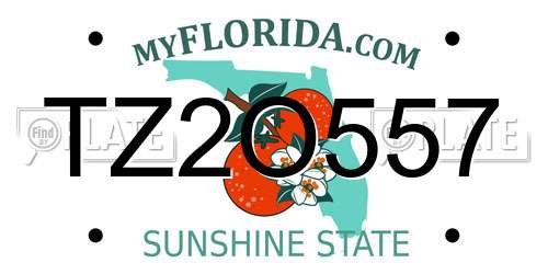 TZ2O557 Florida License Plate