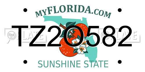 TZ2O582 Florida License Plate