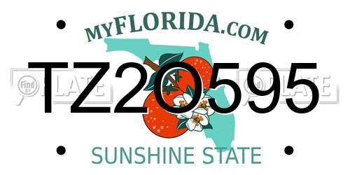 TZ2O595 Florida License Plate