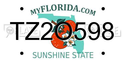 TZ2O598 Florida License Plate