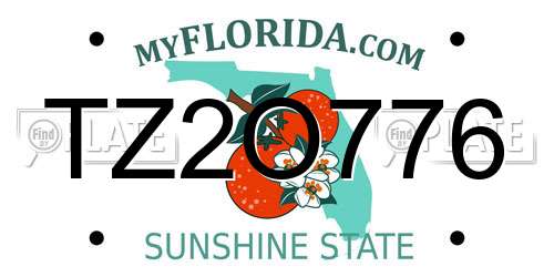 TZ2O776 Florida License Plate