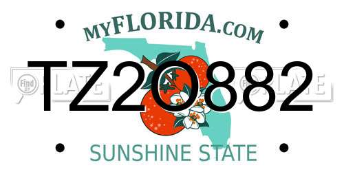 TZ2O882 Florida License Plate