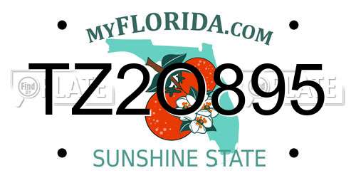 TZ2O895 Florida License Plate