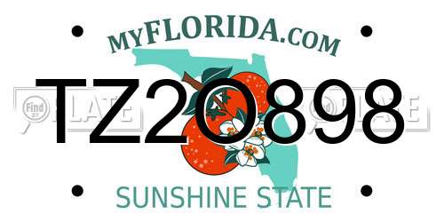 TZ2O898 Florida License Plate
