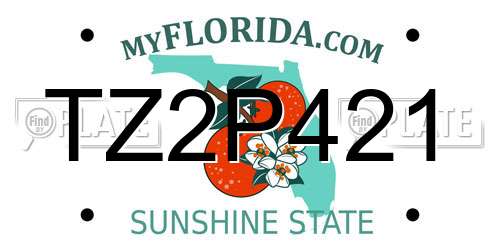 TZ2P421 Florida License Plate