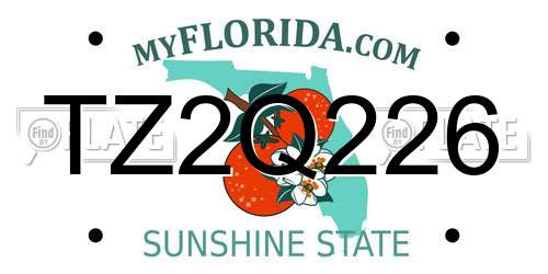 TZ2Q226 Florida License Plate