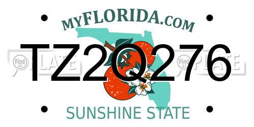TZ2Q276 Florida License Plate