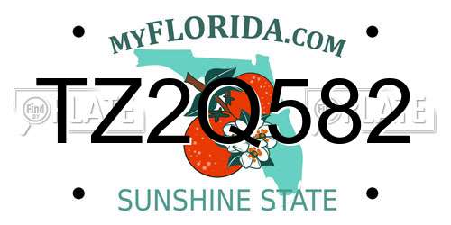 TZ2Q582 Florida License Plate