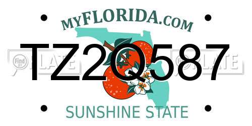 TZ2Q587 Florida License Plate