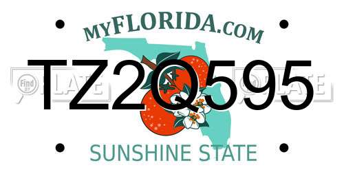 TZ2Q595 Florida License Plate