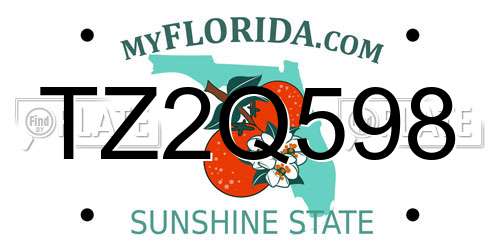 TZ2Q598 Florida License Plate