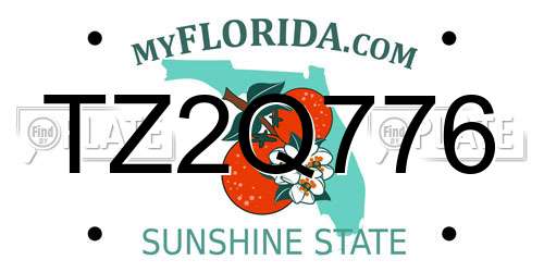 TZ2Q776 Florida License Plate
