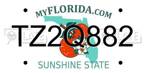 TZ2Q882 Florida License Plate