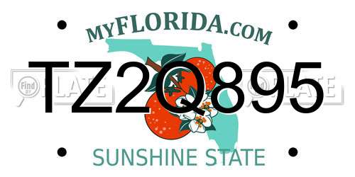 TZ2Q895 Florida License Plate