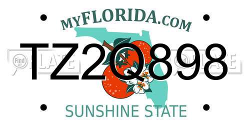 TZ2Q898 Florida License Plate