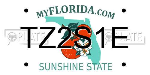 TZ2S1E Florida License Plate