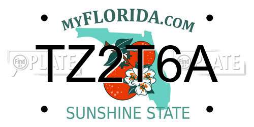 TZ2T6A Florida License Plate