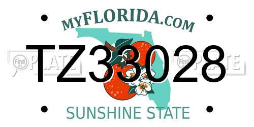 TZ33028 Florida License Plate