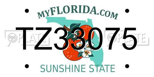 TZ33075 Florida License Plate